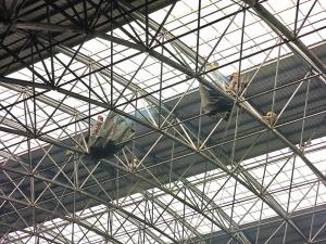 冬季网架易出问题？提前加固才是明智之举